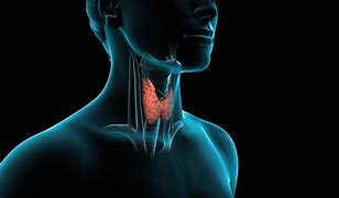 Image result for Thyroid Surgery