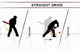 Image result for Cricket Shots Techniques