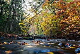 Image result for New Jersey State Parks