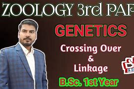 Image result for Genetic Linkage