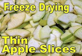 Image result for Freeze Dried Apple Slices