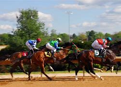 Image result for Elegant Horse Racing Derby Pictures