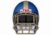 Image result for Miniature NFL Helmets