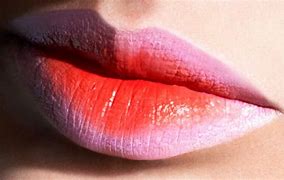 Image result for Two Tone Lips