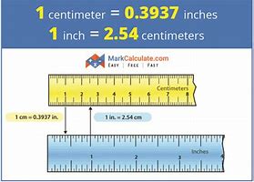 Image result for How Big Is 11 Inches