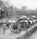 Image result for WWI Serbian Soldiers