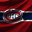 Image result for Montreal Canadiens Symbol