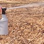 Image result for Yard Moles Removal