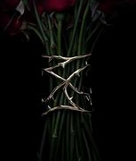 Image result for Thorns Aesthetic