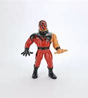 Image result for WWF Hasbro Action Figures