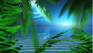 Image result for Free Screensavers and Wallpaper App