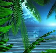 Image result for Google Screensavers and Wallpaper