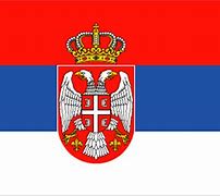 Image result for Serbia National Flag