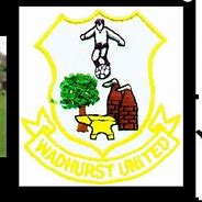 Image result for Wadhurst United FC