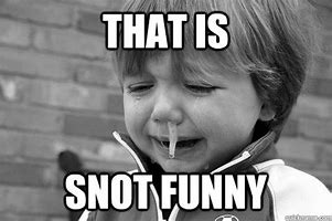 Image result for Snot Funny