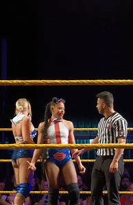 Image result for WWE NXT Guardrails