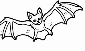 Image result for Outline of a Cricket Bat