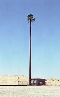Image result for Disquised Cell Tower