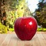 Image result for Wax Apple Fruit