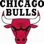 Image result for Bulls Basketball Logo