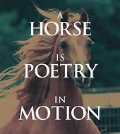Image result for Favorite Horse Quotes