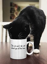 Image result for Funny Cat Cup