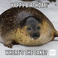 Image result for Birthday Meme House