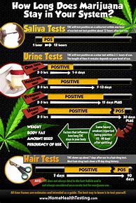Image result for How Long Does Weed Stay in System