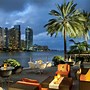 Image result for Miami Street Palm Trees