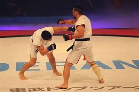 Image result for Inappropriate Martial Arts