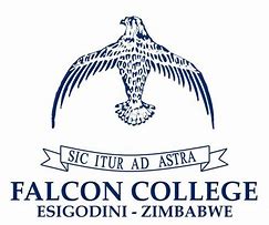 Image result for Falcon College Esigodini