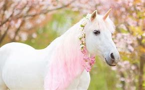Image result for Unicorns Do They Exist