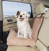 Image result for Dog Bed for Car