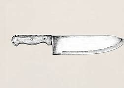 Image result for Ninja Self-Sharpening Knife Set