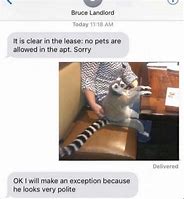 Image result for Bruce Landlord Meme