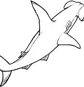 Image result for Great White Shark Outline