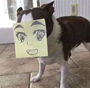 Image result for Cursed Dog Memes