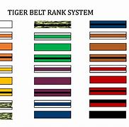 Image result for Karate Belt System