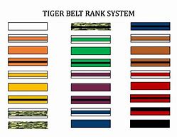 Image result for Belts Karate Tiger Color