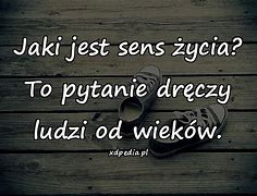 Image result for co_to_znaczy_Że_Życie_ma_sens