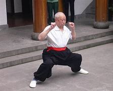 Image result for Old Martial Arts Master