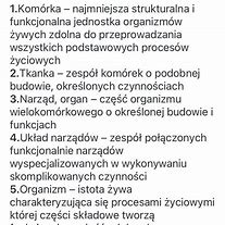 Image result for co_to_znaczy_zwierzęta_w_bieliźnie