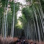 Image result for Kyoto Japan Places to Visit