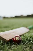 Image result for Cricket Bat and Ball Prints