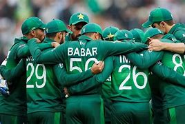 Image result for Cricket Pictures for Free