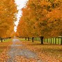 Image result for Windows XP Autumn Wallpaper