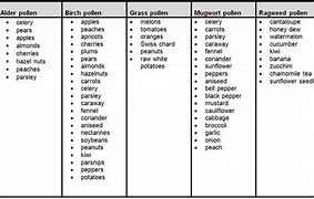 Image result for Birch Pollen Allergy Foods