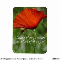 Image result for Poppy Flower Quotes