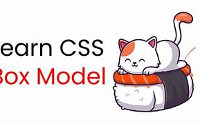Image result for Content Box in CSS Example