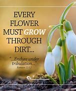 Image result for Inner Growth Reset Quotes